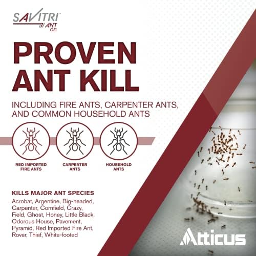 Atticus Savitri Ant Gel Bait (4 x 30 Grams) - Indoor and Outdoor Ant Killer