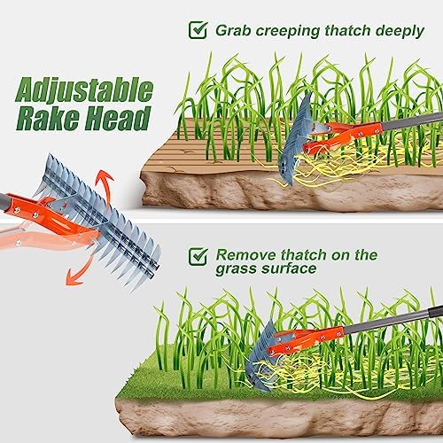 Walensee 15-Inch Thatch Rake for Lawn, 19-Tine Dethatcher, 70-Inch Handle