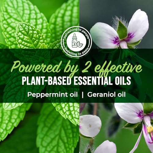 Mighty Mint Peppermint Oil Ant Killer Spray, 16 oz
