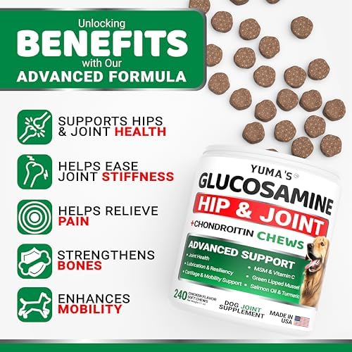 YUMA'S Glucosamine for Dogs - 240 Chews - Hip & Joint Supplement for Dogs | Chondroitin, MSM, Salmon Oil & Turmeric Chews, Joint Pain Relief & Mobility for Large, Medium & Small Breed Dogs, Made in USA