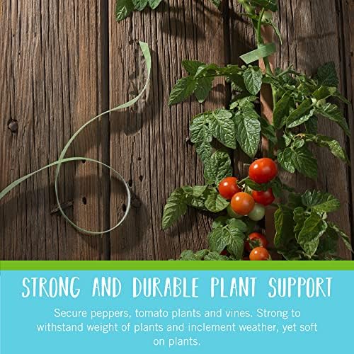 VELCRO Brand ONE-WRAP Garden Ties, for Plant Support, 50 Ft x 1/2 in
