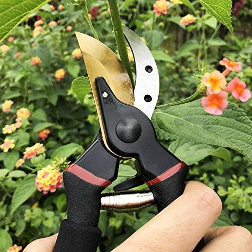 gonicc 8" Professional Premium Bypass Titanium Pruning Shears(GPPS-1003)