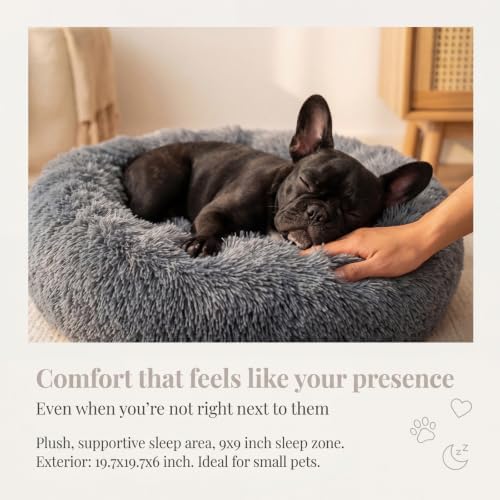 Small Calming Dogs Bed for Small Dogs Anti-Anxiety Machine Washable Fluffy Luxury Anti-Slip Waterproof Mute Base Warming Cozy Soft Pet Puppy Round Bed