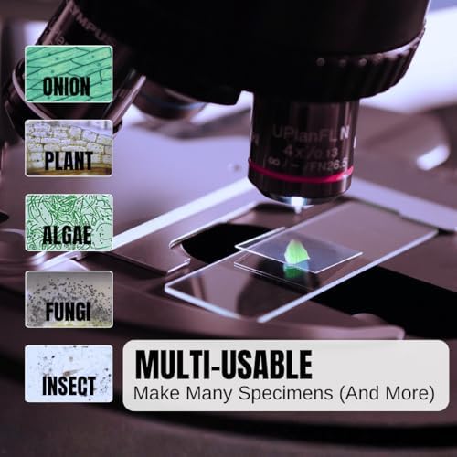 ZEEGOO Microscope Slides and Covers, 50 Blank Glass Slides + 100 Coverslips