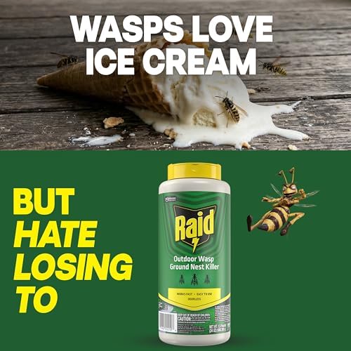 Raid Outdoor Ground Nest Wasp & Insect Killer Dust, 24 oz