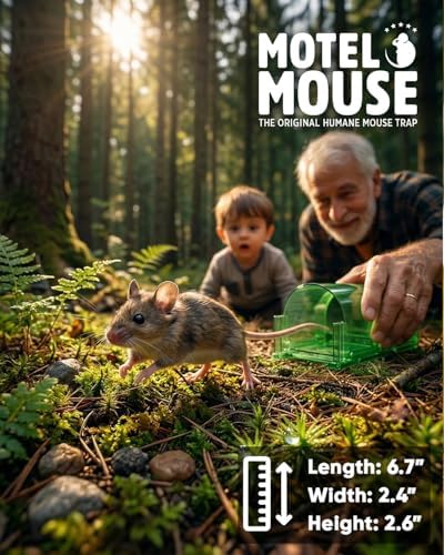 Motel Mouse Humane No Kill Mouse Traps Live Catch & Release - 4 Pack