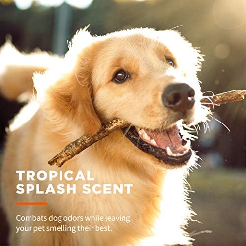 Wet Ones for Pets Antibacterial Dog Wipes, Tropical Splash, 50 Count