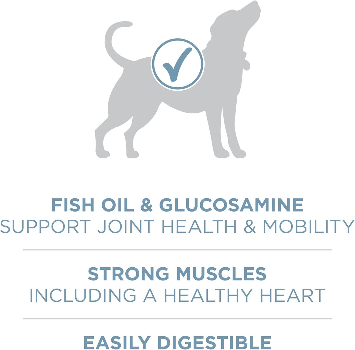 Purina ONE Plus Joint Health Dry Dog Food, Chicken, 31.1 lb Bag