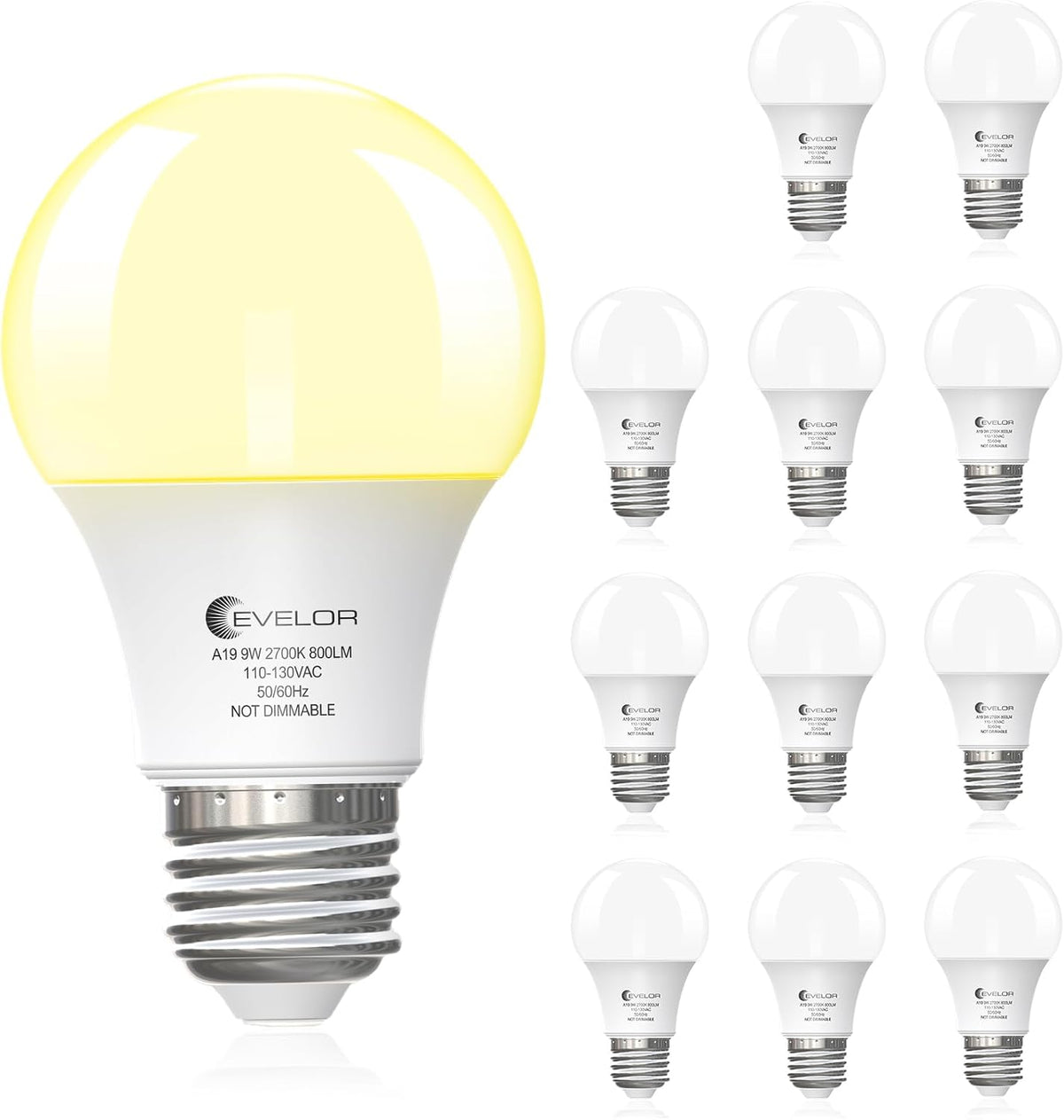 evelor 6-Pack A19 LED Light Bulbs,60 Watt Equivalent,Daylight 5000K