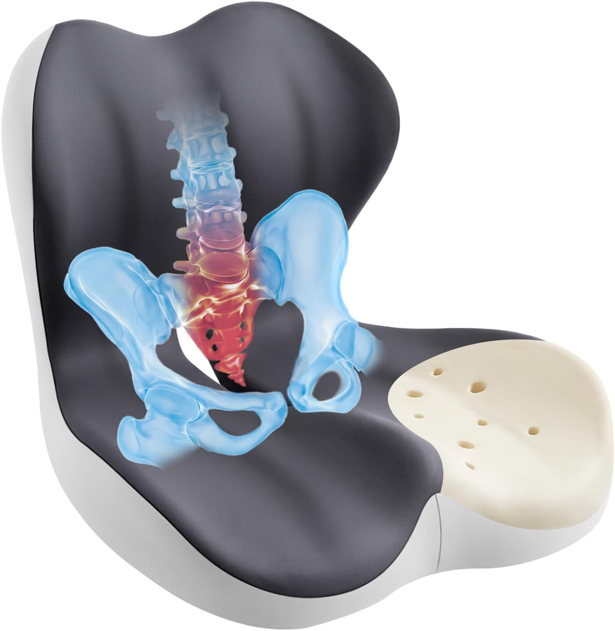 Seat Cushion & Back Support for Tailbone and Lower Back Relief