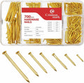 CrimsonMark Nails Assortment Kit - 700 PCS Galvanized Steel Nails for Wall