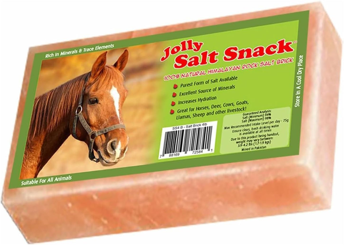 Horsemen's Pride Himalayan Salt Block on Rope for Horses, 4.4 Pounds, SS44