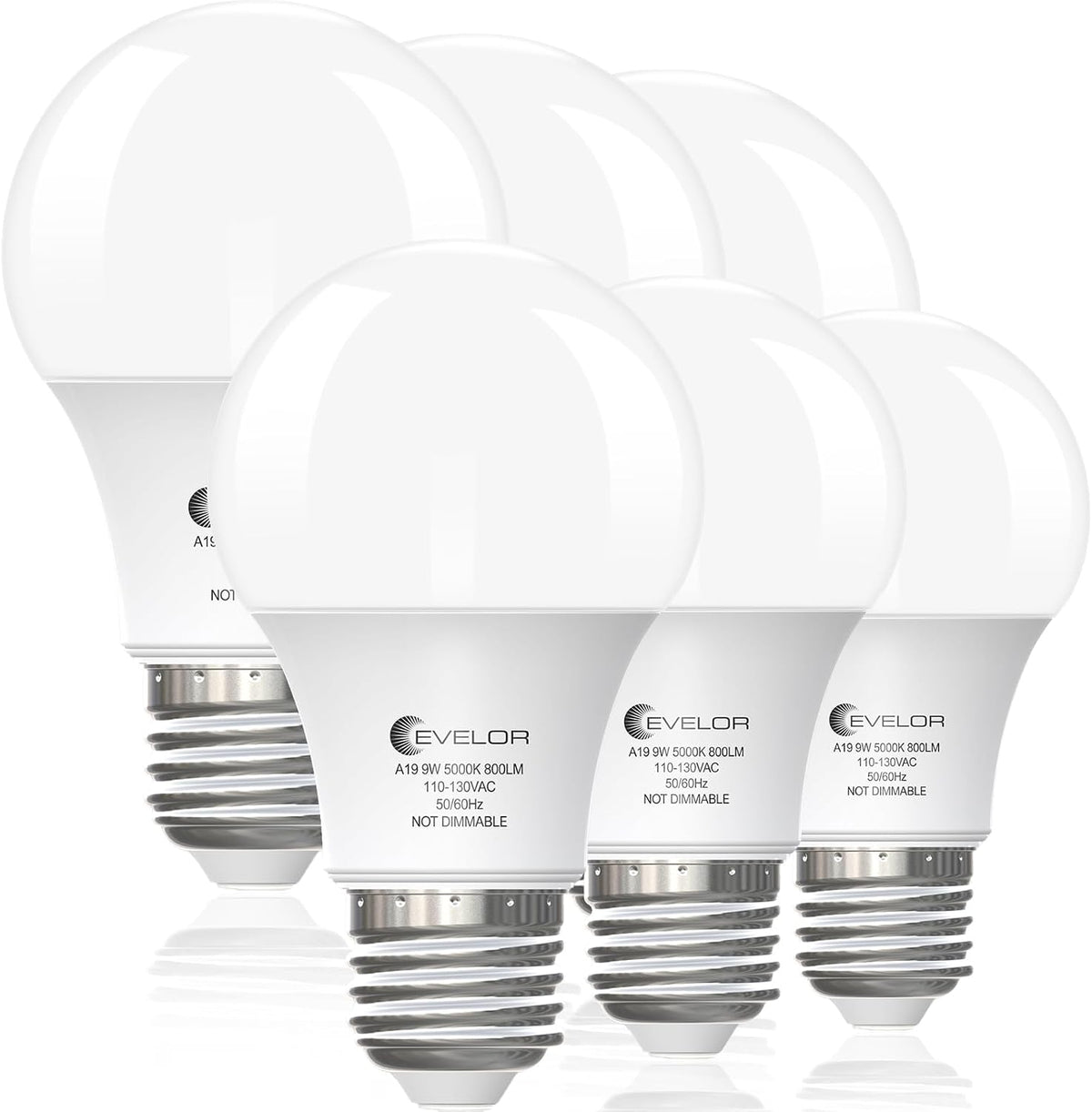 evelor 6-Pack A19 LED Light Bulbs,60 Watt Equivalent,Daylight 5000K