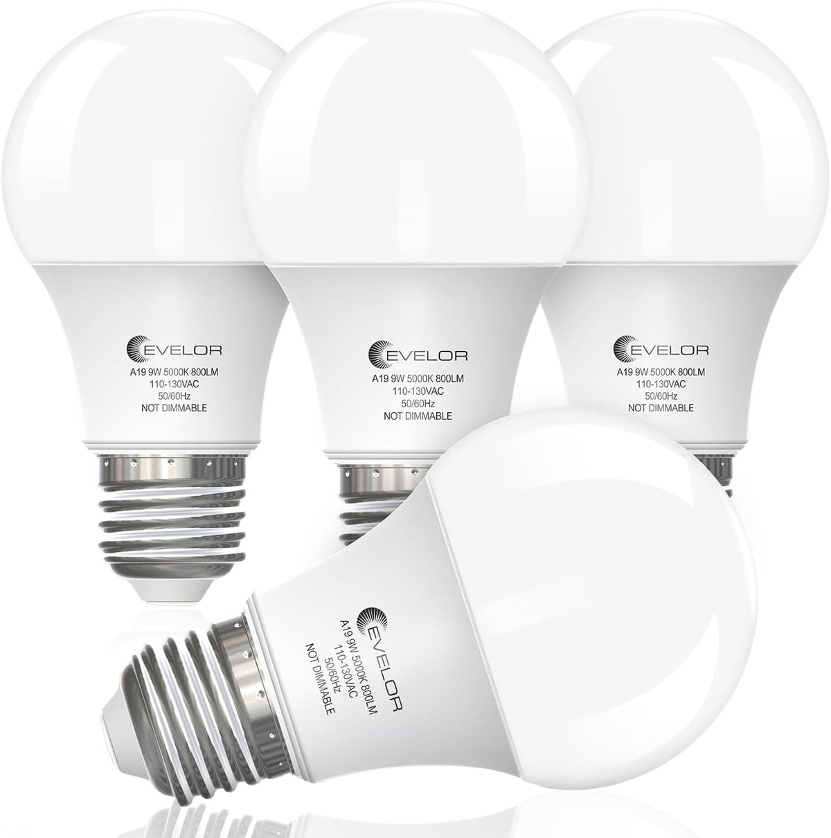 evelor 6-Pack A19 LED Light Bulbs,60 Watt Equivalent,Daylight 5000K