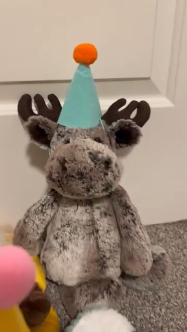 Mini Party Hats, Birthday Party Cone Hats Dolls Dog Cat Rabbit Puppies Assorted Animal Birthday