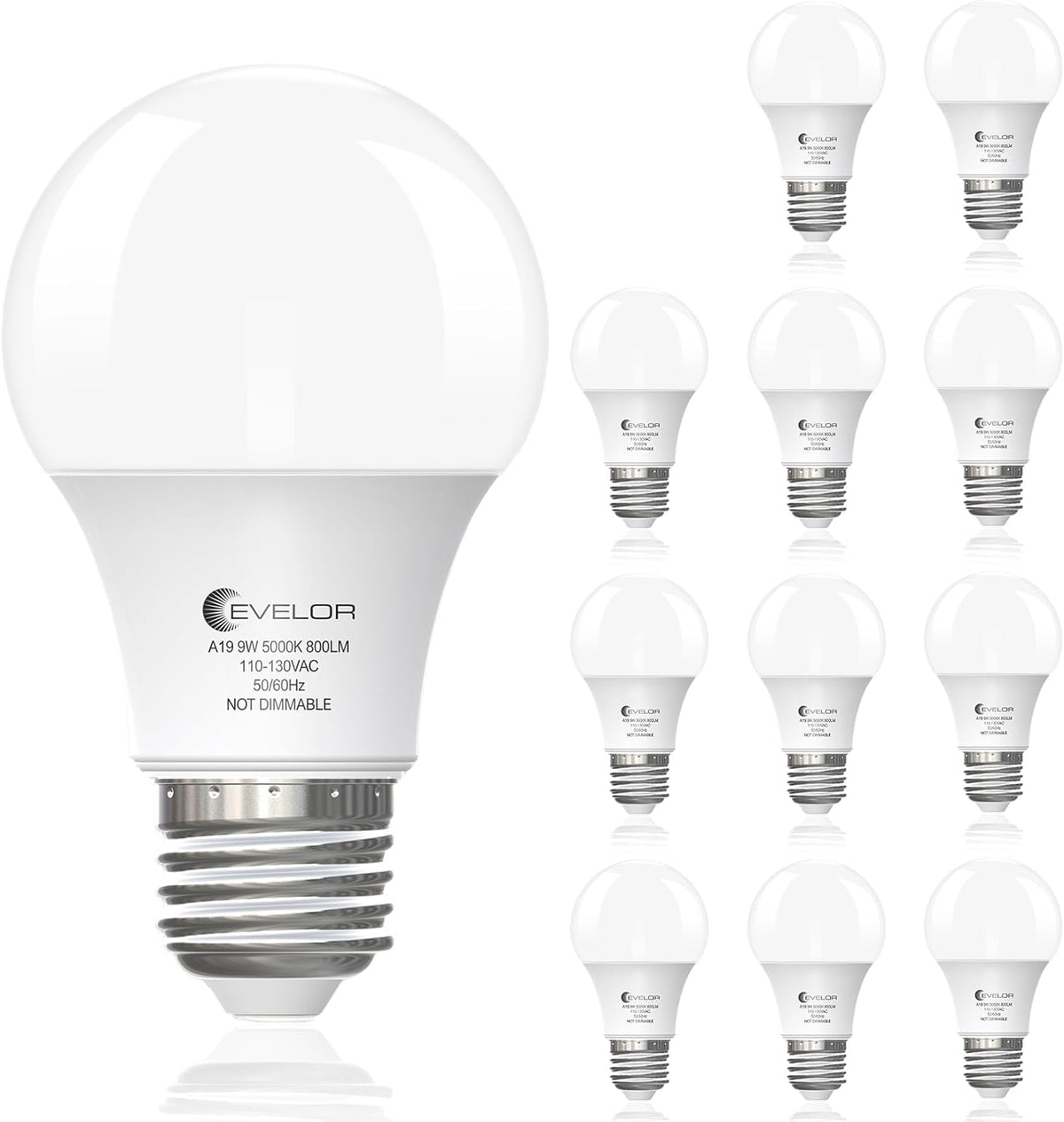 evelor 6-Pack A19 LED Light Bulbs,60 Watt Equivalent,Daylight 5000K