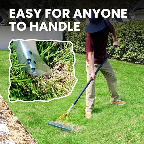 Thatch Rake for Lawn with 74inch Handle, 15 inch Dethatcher Rake for Grass to Cleaning Dead Grass, Efficient Steel Metal Rake for Dethatching, Heavy Duty Thatching Rakes for Garden, Yard
