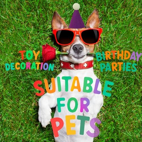 Mini Party Hats, Birthday Party Cone Hats Dolls Dog Cat Rabbit Puppies Assorted Animal Birthday