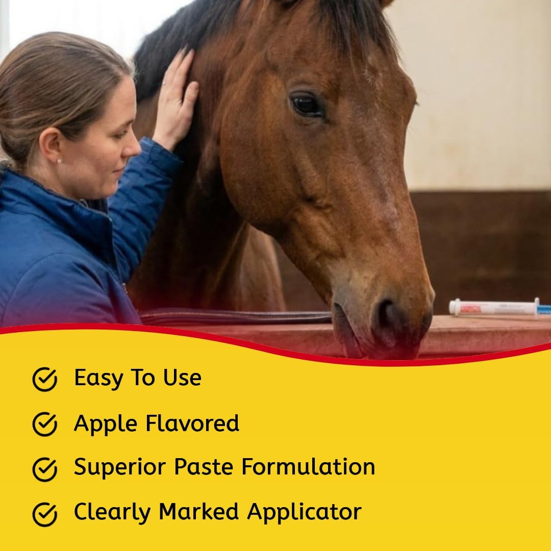 Ivermectin Paste 1.87% Horse Dewormer - Apple Flavored Oral Syringe 6.08g Tube