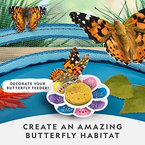 National Geographic Butterfly Growing Kit for Kids Nature Activity