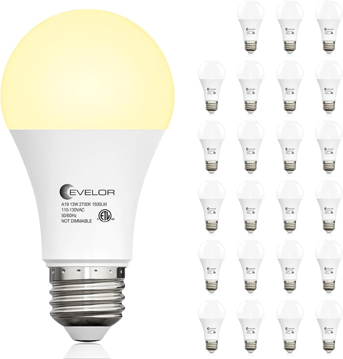evelor 6-Packs A19 LED Light Bulbs,100 Watt Equivalent Daylight 5000K Bright Bulbs Efficient 13W,1500 Lumens E26 Base, Non-Dimmable, 15000-Hour Lifespan for Bedroom, Living Room, Office