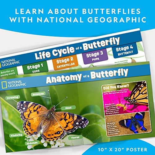 National Geographic Butterfly Growing Kit for Kids Nature Activity
