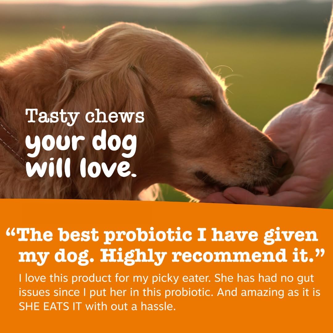 Zesty Paws Probiotics for Dogs - Gut Health for Dogs, Pumpkin, 90 Ct