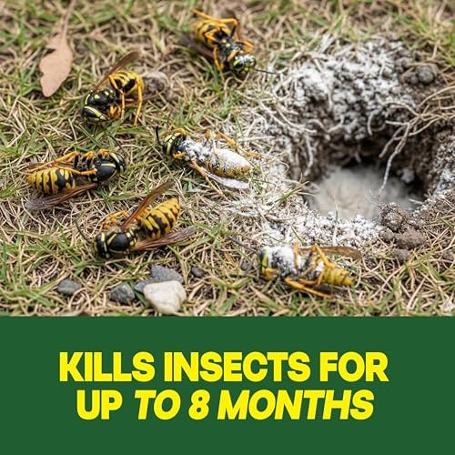Raid Outdoor Ground Nest Wasp & Insect Killer Dust, 24 oz