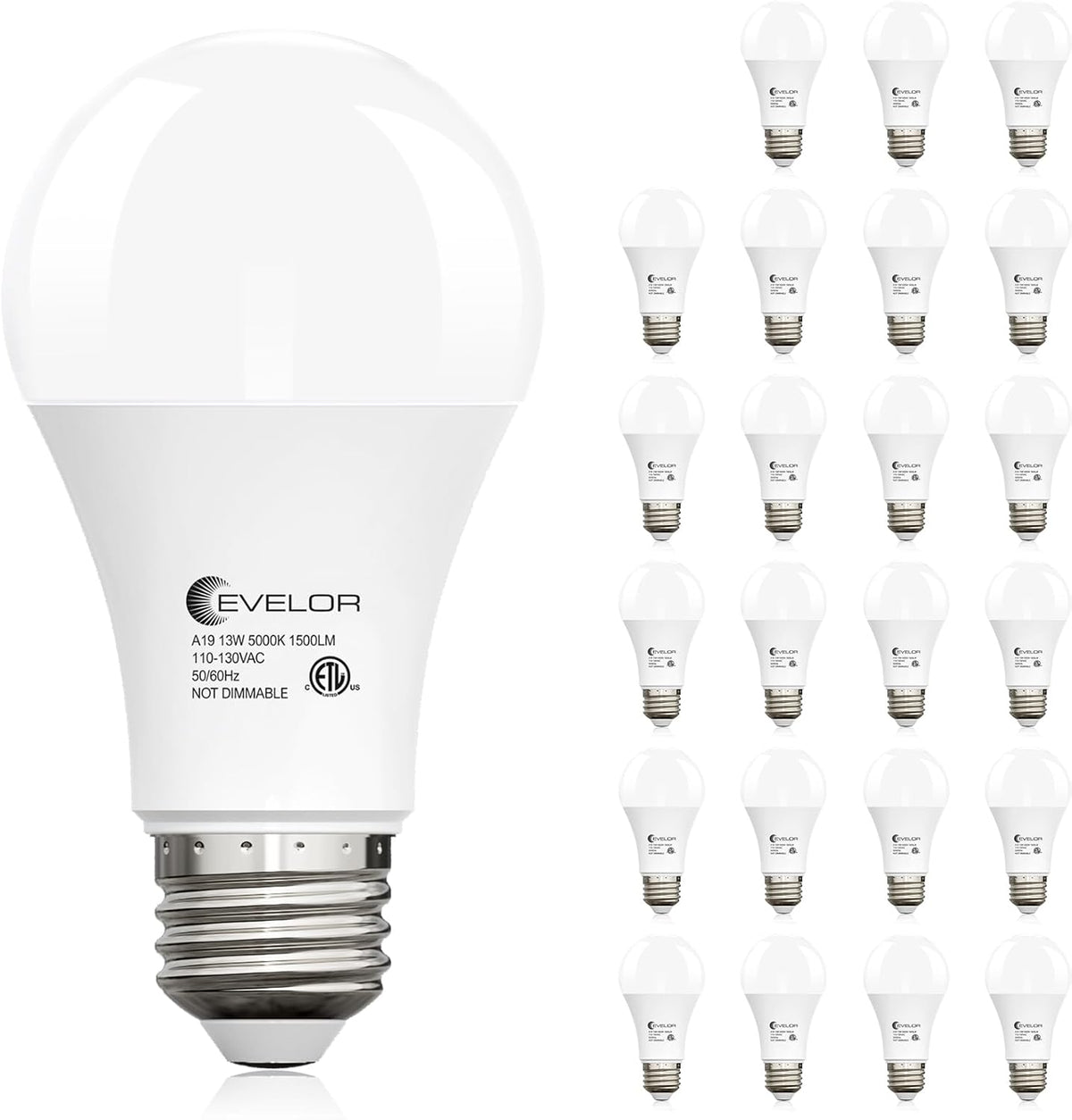 evelor 6-Packs A19 LED Light Bulbs,100 Watt Equivalent Daylight 5000K Bright Bulbs Efficient 13W,1500 Lumens E26 Base, Non-Dimmable, 15000-Hour Lifespan for Bedroom, Living Room, Office