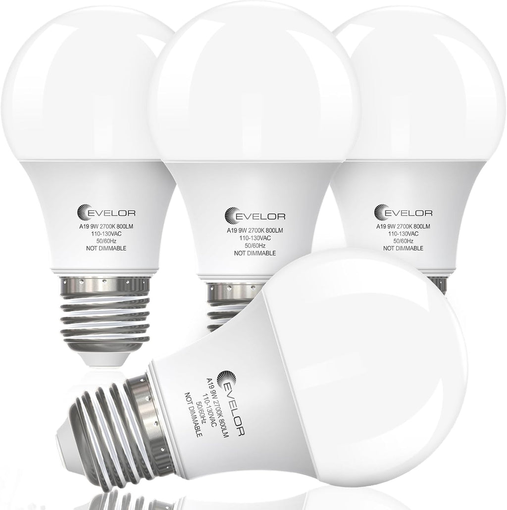 evelor 6-Pack A19 LED Light Bulbs,60 Watt Equivalent,Daylight 5000K