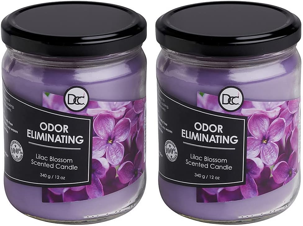 Vanilla Bean Odor Eliminating Highly Fragranced Candle - Eliminates 95% of Pet, Smoke, Food, and Other Smells Quickly - Up to 80 Hour Burn time - 12 Ounce Premium Soy Blend