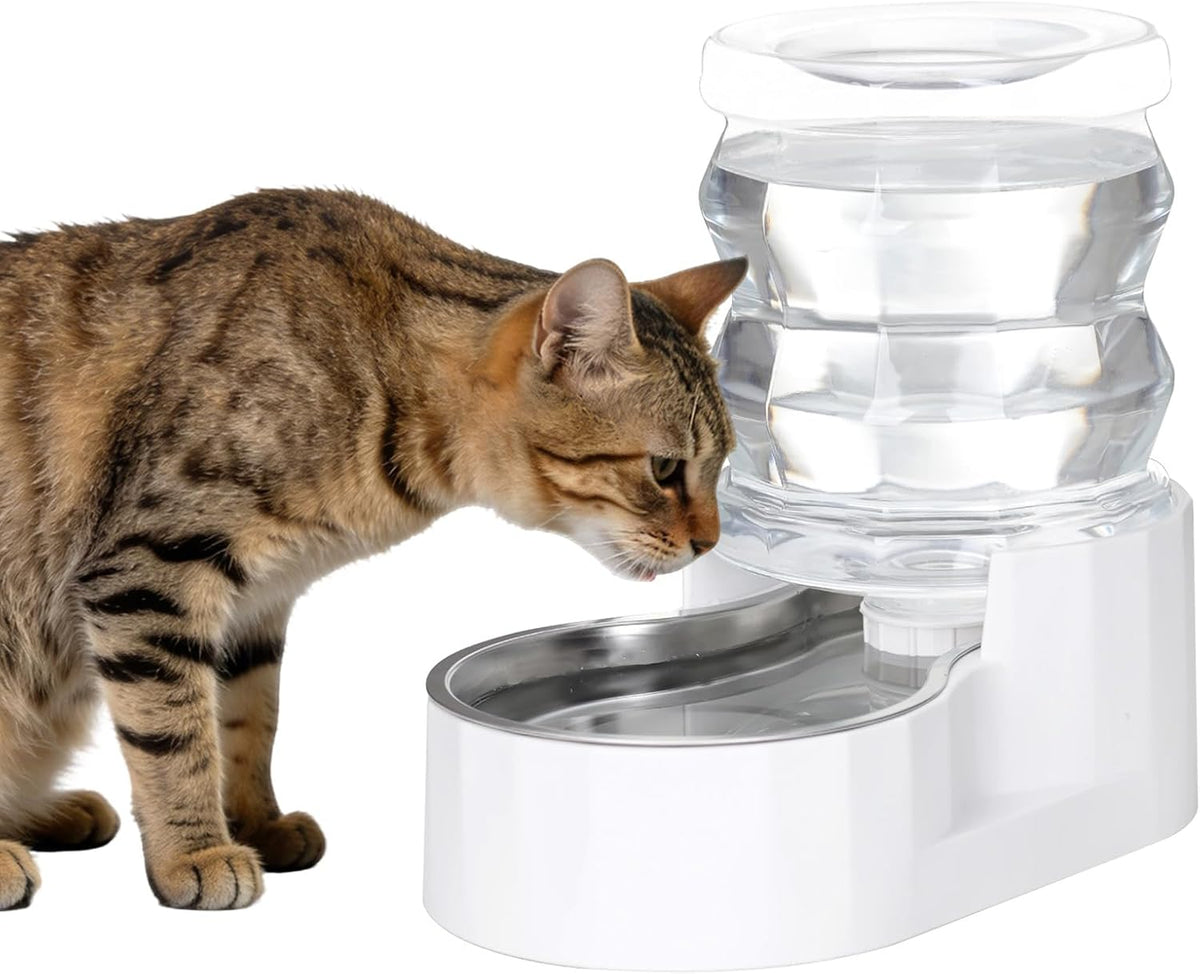 RIZZARI 8L Elevated Dog Water Dispenser: Large Dogs Senior Pets Filtered | Comfortable Drinking Position / Anti Splash Base / Stainless Steel Bowl / Easy Cleaning / Dishwasher Safe/Multi Pet Homes