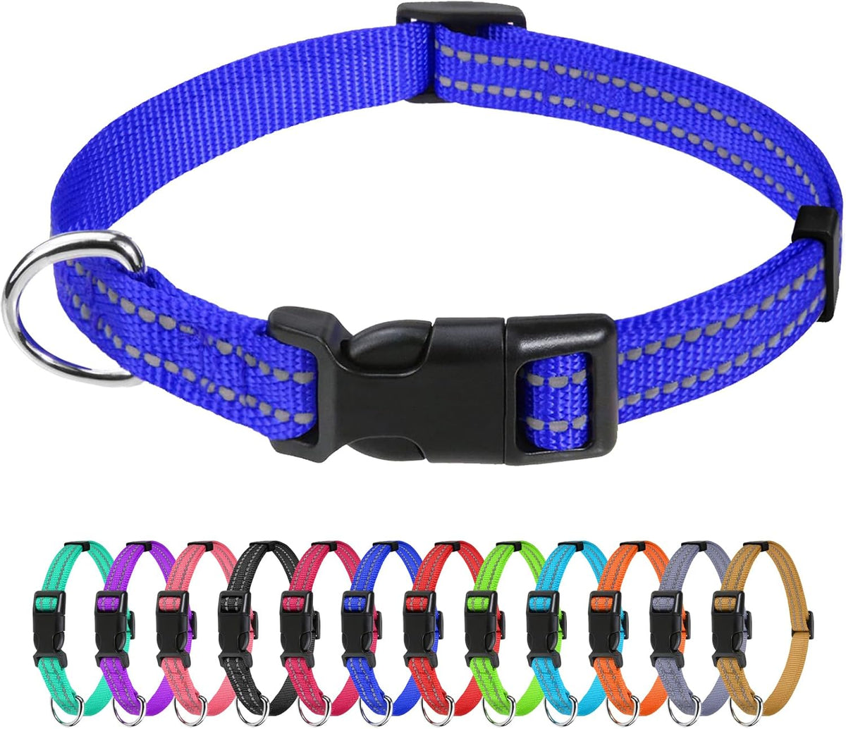TagME Small Dog Collar, Reflective Puppy Collar, Sky Blue, 3/8" Width