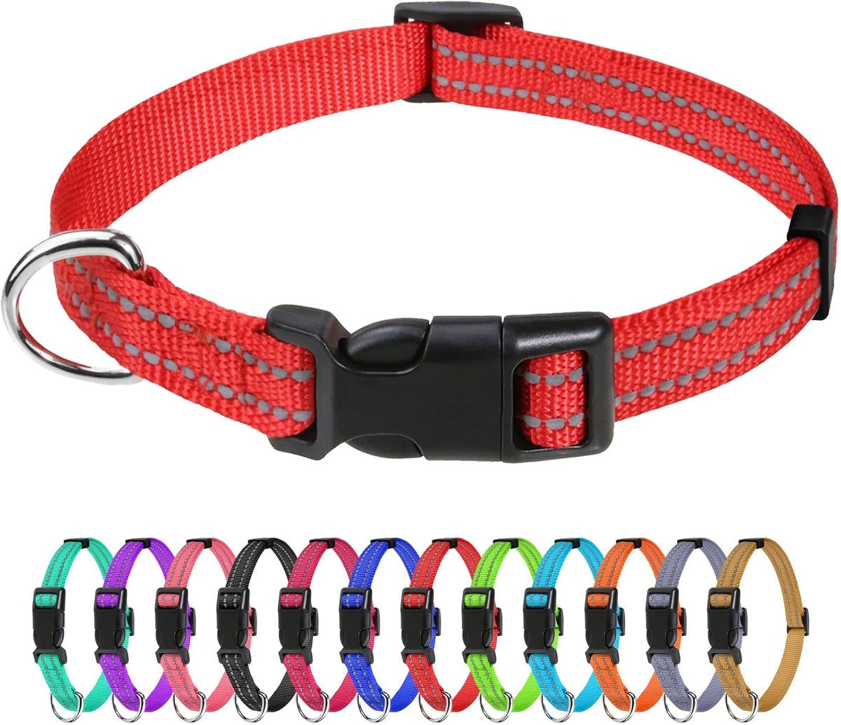 TagME Small Dog Collar, Reflective Puppy Collar, Sky Blue, 3/8" Width