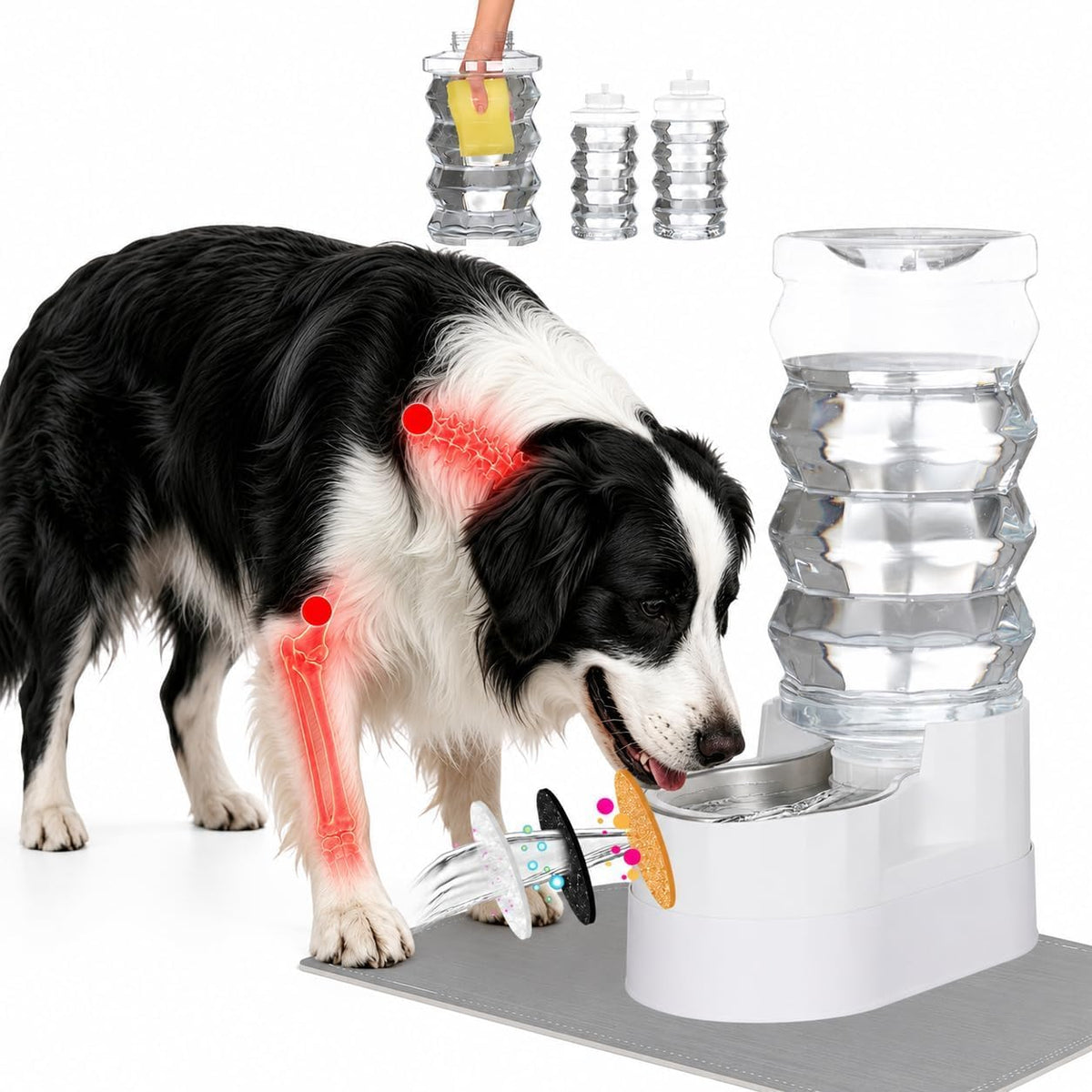 RIZZARI 8L Elevated Dog Water Dispenser: Large Dogs Senior Pets Filtered | Comfortable Drinking Position / Anti Splash Base / Stainless Steel Bowl / Easy Cleaning / Dishwasher Safe/Multi Pet Homes