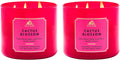 Bath & Body Works Eucalyptus Spearmint 3-Wick Candle - Scented Candle for At-Home Use - Long-Lasting, Room-Filling Fragrance - High Fragrance Oil Concentration - Soy Wax Blend
