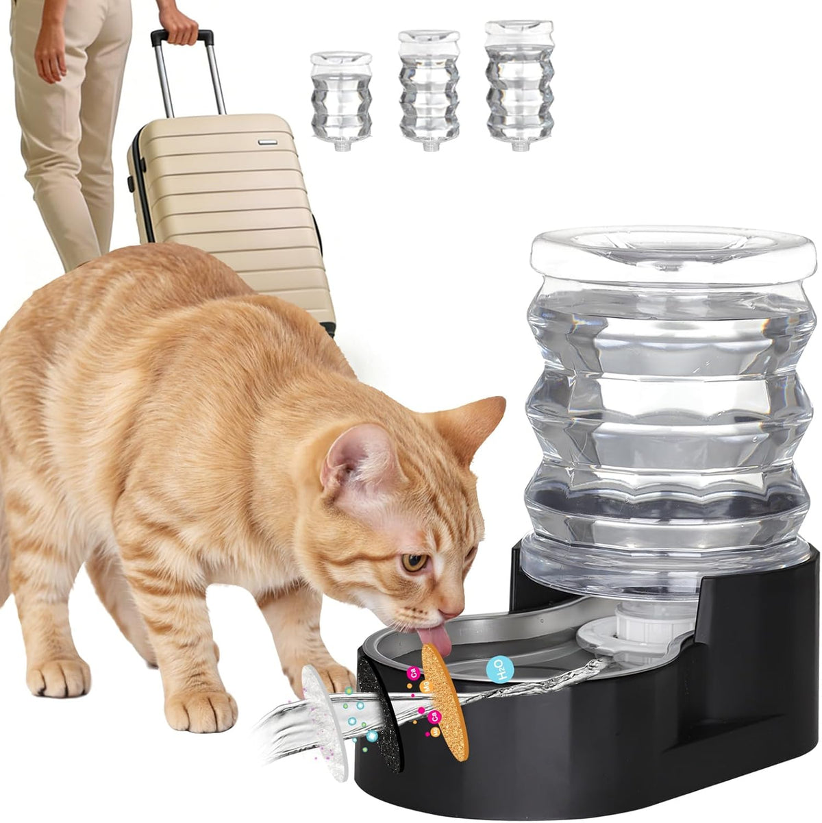 RIZZARI 8L Elevated Dog Water Dispenser: Large Dogs Senior Pets Filtered | Comfortable Drinking Position / Anti Splash Base / Stainless Steel Bowl / Easy Cleaning / Dishwasher Safe/Multi Pet Homes