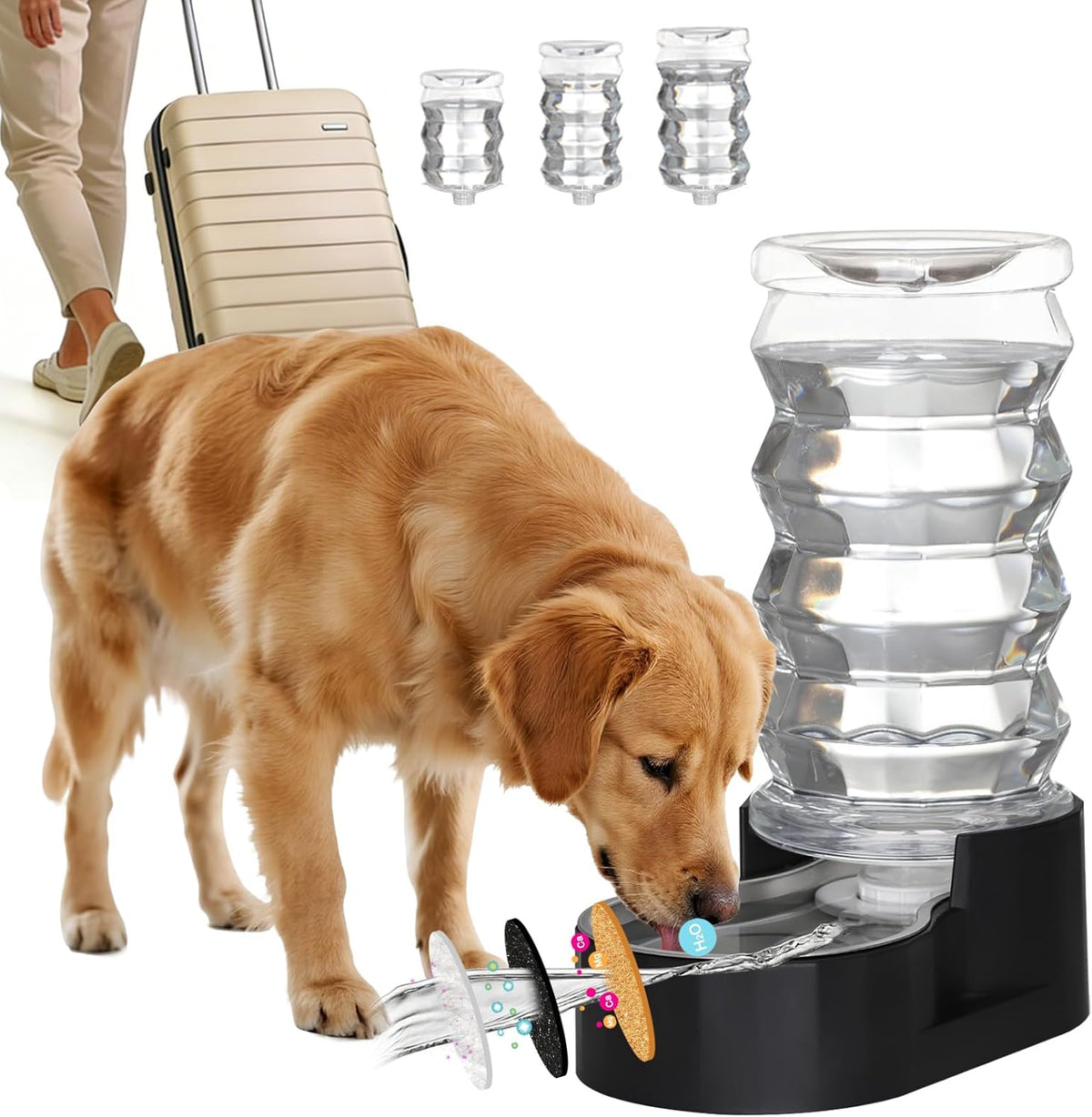RIZZARI 8L Elevated Dog Water Dispenser: Large Dogs Senior Pets Filtered | Comfortable Drinking Position / Anti Splash Base / Stainless Steel Bowl / Easy Cleaning / Dishwasher Safe/Multi Pet Homes