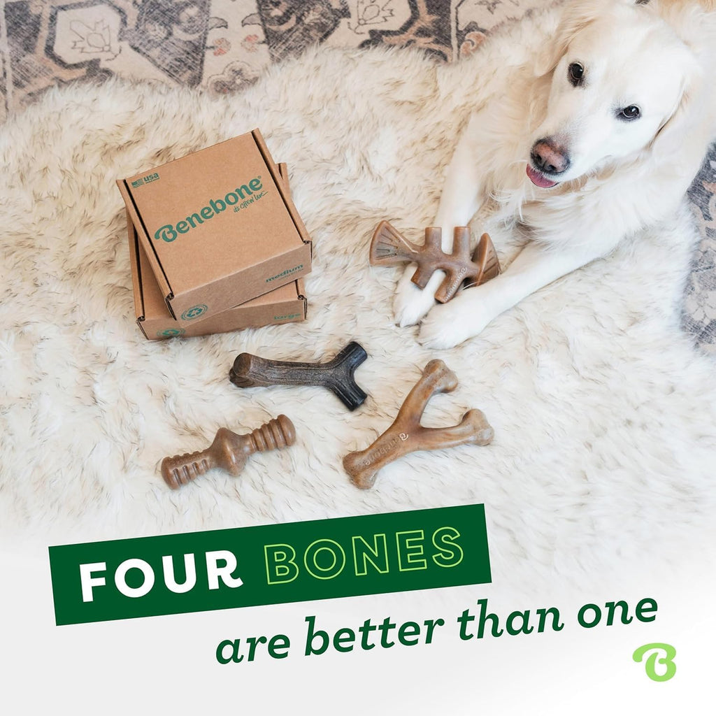 Benebone Small 4-Pack Dog Toys for Aggressive Chewers – Under 30 lbs | Durable, Multipack, Super Chewer, Made in USA, Dog Bones, Long-Lasting, A Size for Every Dog, Keeps Them Busy