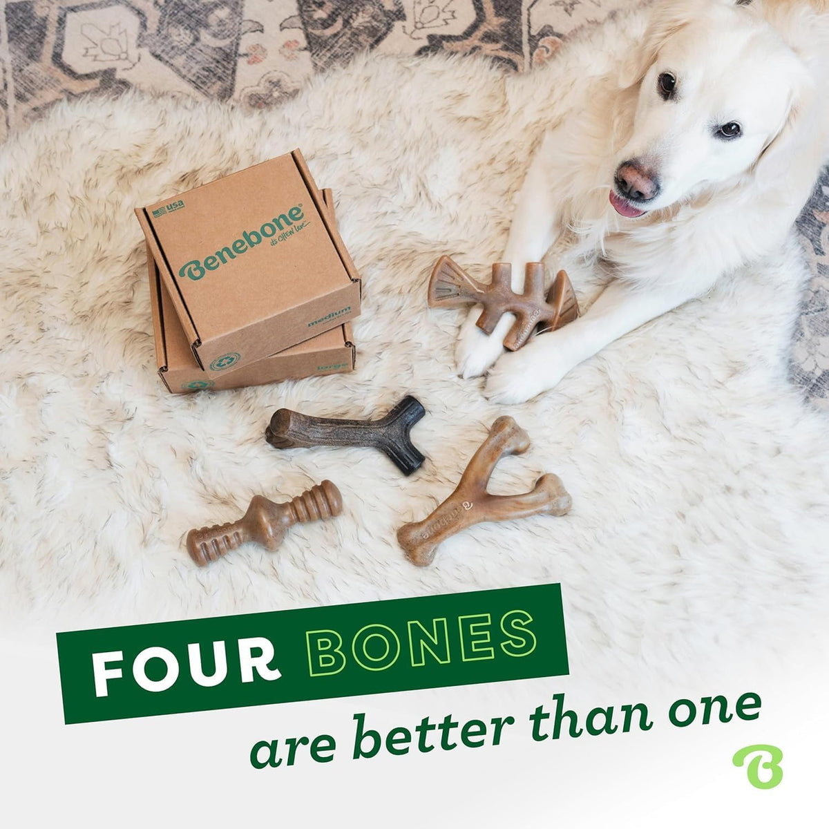 Benebone Small 4-Pack Dog Toys for Aggressive Chewers – Under 30 lbs | Durable, Multipack, Super Chewer, Made in USA, Dog Bones, Long-Lasting, A Size for Every Dog, Keeps Them Busy