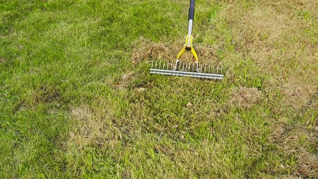 Thatch Rake for Lawn with 74inch Handle, 15 inch Dethatcher Rake for Grass to Cleaning Dead Grass, Efficient Steel Metal Rake for Dethatching, Heavy Duty Thatching Rakes for Garden, Yard