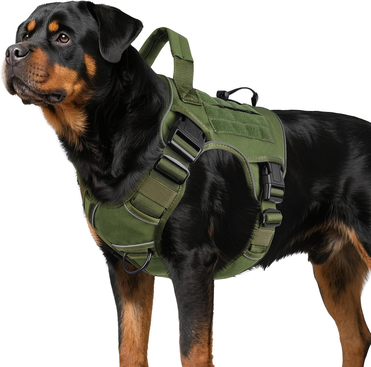 WINGOIN Tactical Dog Harness for Large Dogs,No Pull Heavy Duty Dog Harness
