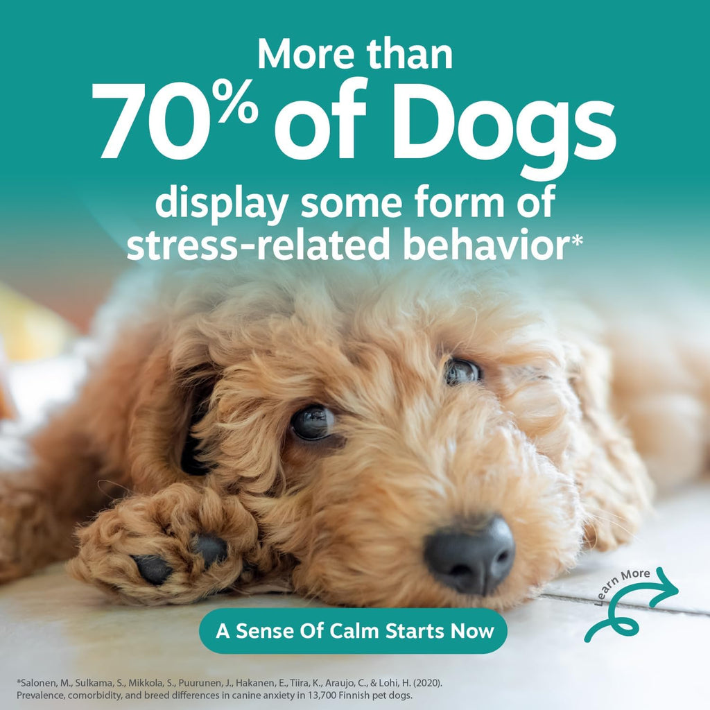 Zesty Paws Calming Chews for Dogs - Dog Calming Supplement, PB, 90 Ct