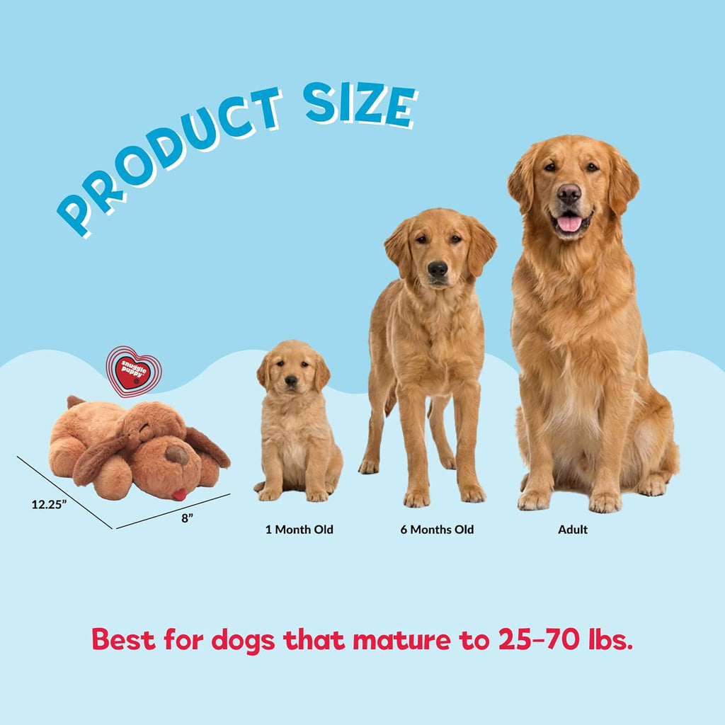 Snuggle Puppy Heartbeat Toy, Calming Comfort, Medium Breeds - Biscuit | Calming heartbeat toy, crate training comfort, heat pack, new puppy essentials, first nights, sleep, medium breeds 25-70 lbs