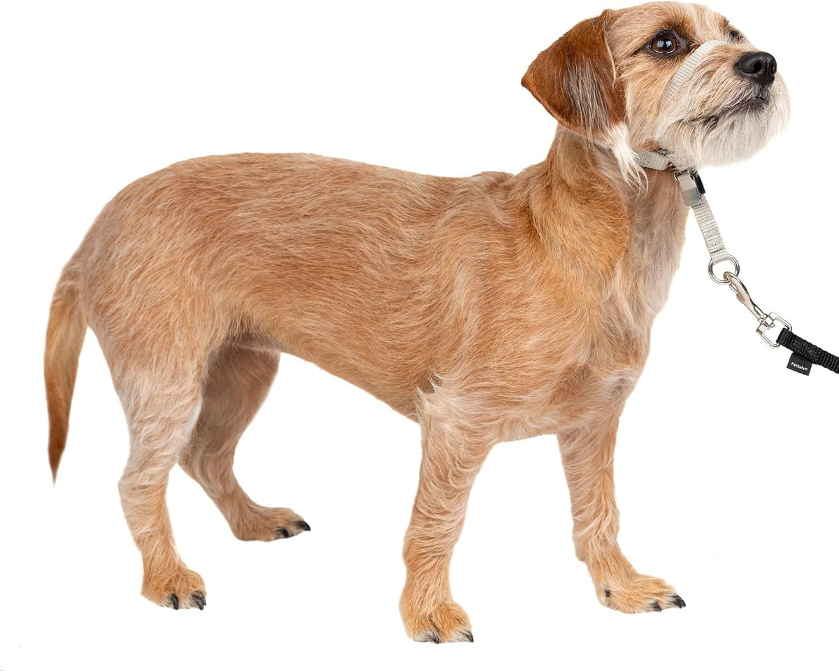 PetSafe Gentle Leader No Pull Dog Headcollar, Royal Blue, Medium | Veterinary Behaviorist-Designed No-Pull Headcollar Redirects Pulling Instinct, Padded Neoprene Nose Loop, Quick-Snap Fit