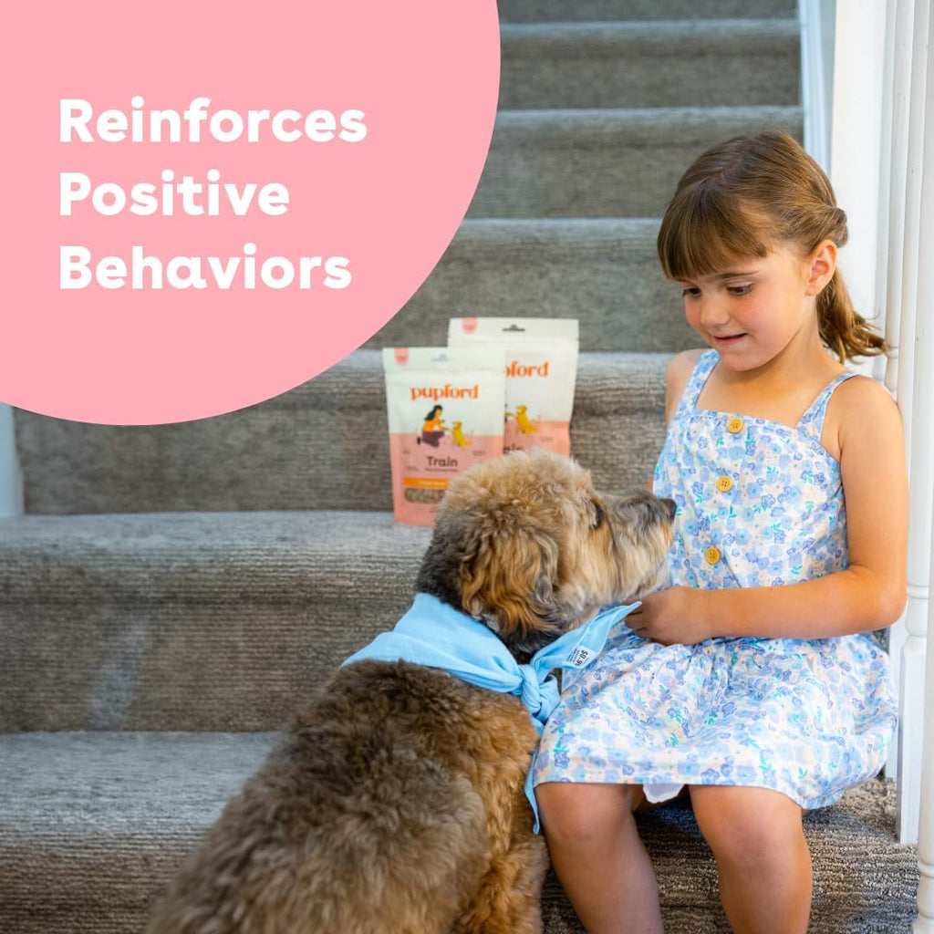 Pupford Soft & Chewy Training Treats for Dogs & Puppies (Pork, 5 oz) | 250+ treats per bag, <2 kcals each, Only 7 ingredients, All breed sizes, Mess free and bite sized, Trainer recommended