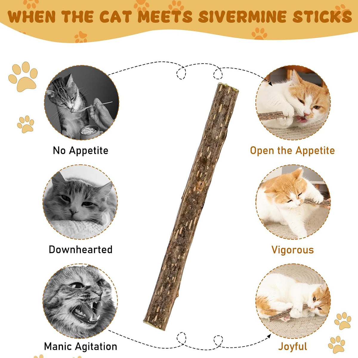 WoLover 12 PCS Silvervine Sticks for Cat, Natural Matatabi Chew Toys