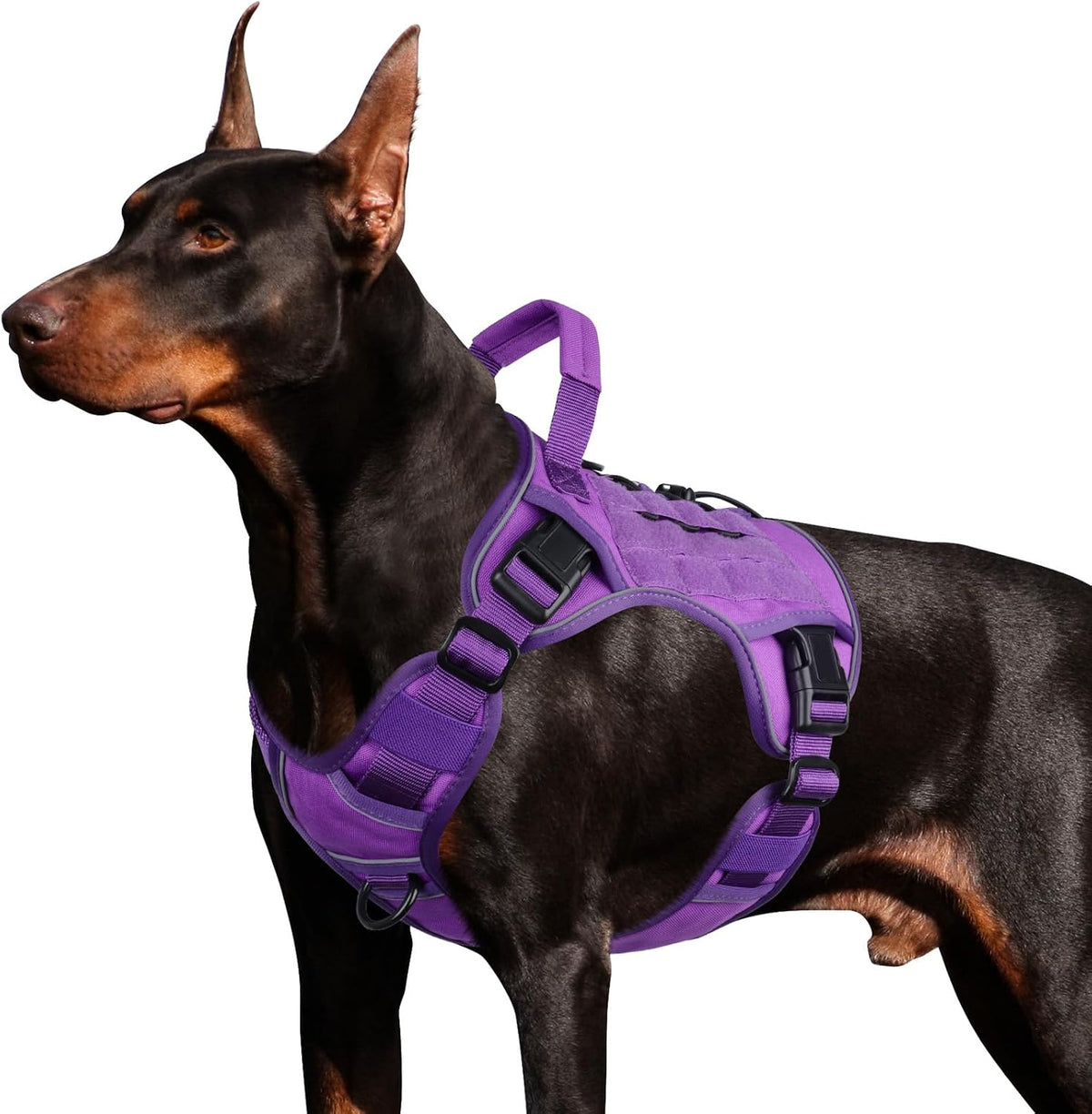 WINGOIN Tactical Dog Harness for Large Dogs,No Pull Heavy Duty Dog Harness