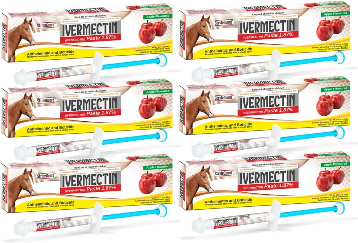 Horse Ivermectin Paste 1.87% – Apple Flavored Oral Horse Dewormer Syringe – 6.08g Tube Treats Horses Up to 1,250 lbs [Pack-1]