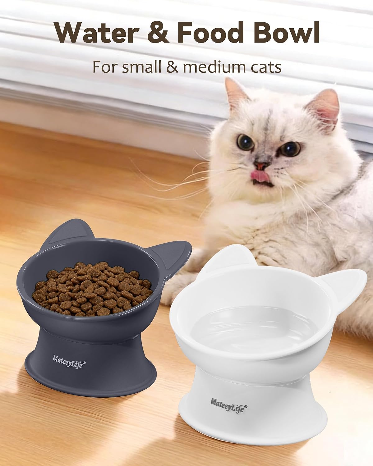 MateeyLife 2 Pack Elevated Cat Food Bowls for Indoor Cats & Kittens